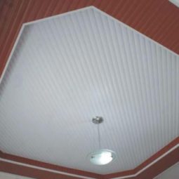 servico-11-262-0-255x255