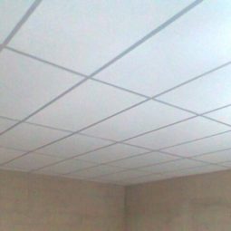 servico-13-273-0-255x255