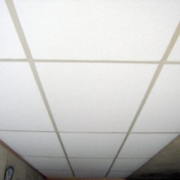 servico-13-279-0-255x255
