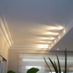 servico-3-361-0-255x255